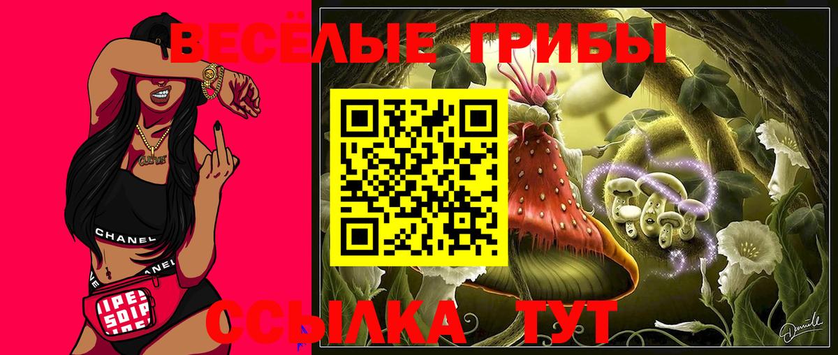 Бутурлиновка  Псилоцибиновые грибы Cubensis  Вход с VPN  Псилоцибиновые грибы Psilocybe 