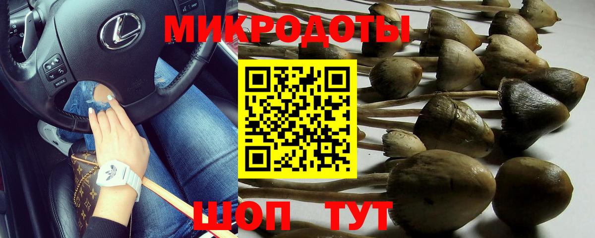 Псилоцибиновые грибы GOLDEN TEACHER Бутурлиновка